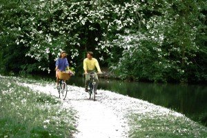 Сонник Сніг влітку випав білий замети бачити уві сні до чого сниться