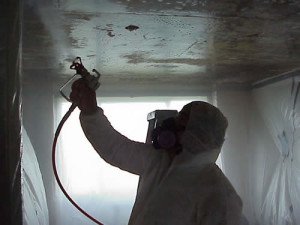 Цвіль у ванній, що робити?