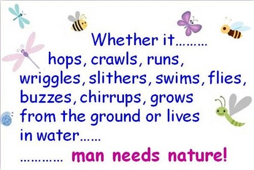 Environment: тема з англійської мови для екологів і не тільки