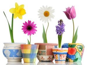 Подарунки на 8 березня для жінок