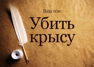 Сонник Вбити Щура до чого сниться Вбити Щура у сні бачити: велику, білу Сонник Вбити Щура до чого сниться Вбити Щура у сні бачити: велику, білу