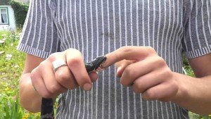 Сонник Змія в домі до чого сниться дівчині чоловікові жінки бачити у сні