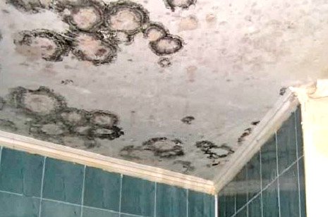 Як зробити вентиляцію в ванній, щоб не було плісняви та грибка?