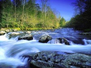 Сонник Плавати До чого сниться Плавати бачити уві сні
