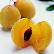 Сонник Сливи до чого сняться сині Сливи стиглі на дереві: їсти, рвати, збирати бачити уві сні