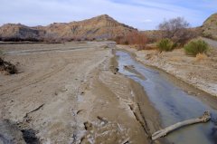 Сонник Річка з чистою водою бачити уві сні до чого сниться?