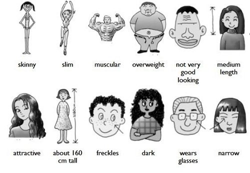 Опис одного англійською – приклади текстів з перекладом