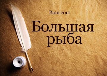 Сонник Велика Риба до чого сниться Велика, велика, величезна Риба в руках бачити уві сні