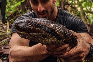 Сонник Анаконда до чого сниться Анаконда велика величезна жінці бачити уві сні Сонник Анаконда до чого сниться Анаконда велика величезна жінці бачити уві сні