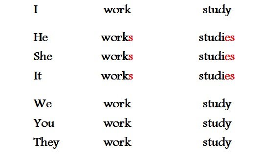 Present Simple: правила освіти і випадки вживання