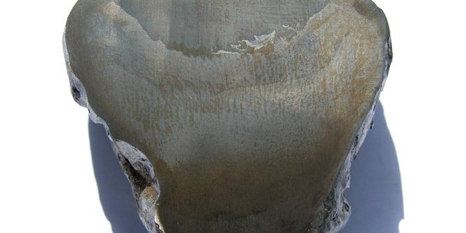 Як потрібно вибирати ванну