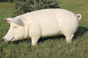 Сонник до чого сниться Кабан дикий Кабан нападає: чорний маленький бачити уві сні