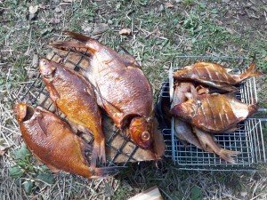 До чого сниться Копчена Риба сонник Копчена Риба: є, запах, без голови бачити уві сні