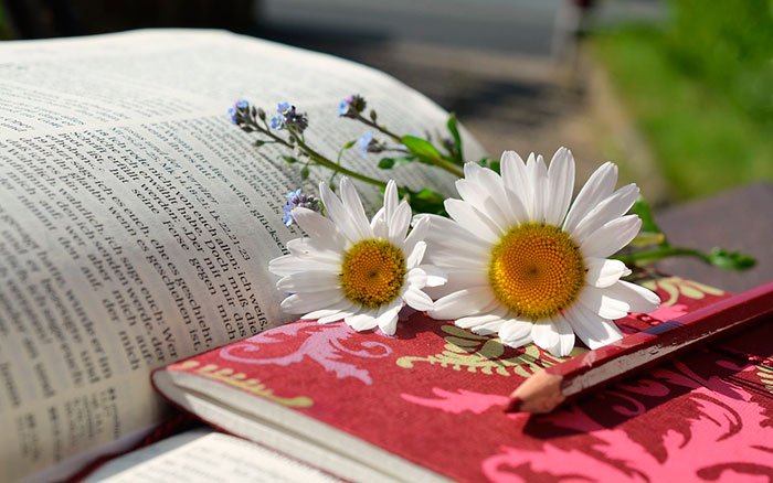 Які книги варто прочитати для саморозвитку кожній людині і чому (список)