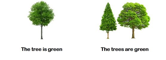 Англійські артиклі (a/an, the) та їх базове значення