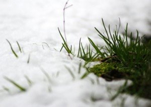 Сонник Сніг влітку випав білий замети бачити уві сні до чого сниться