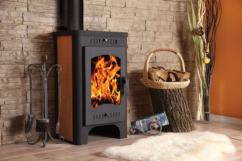 Каміни з варильною плитою: чугунныйе і з цегли з піччю