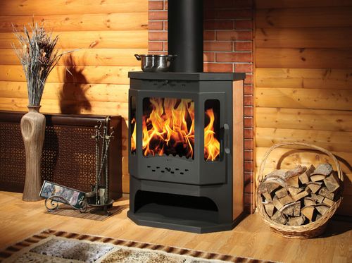 Каміни з варильною плитою: чугунныйе і з цегли з піччю