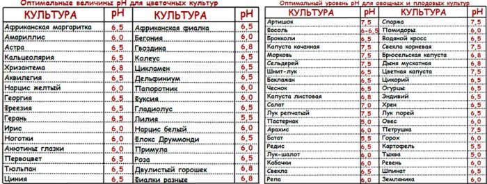 Гідропоніка в домашніх умовах своїми руками