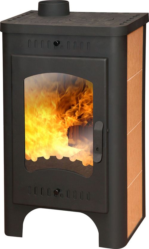 Каміни з варильною плитою: чугунныйе і з цегли з піччю