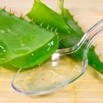 Лікувальні кімнатні рослини, домашні лікарські рослини