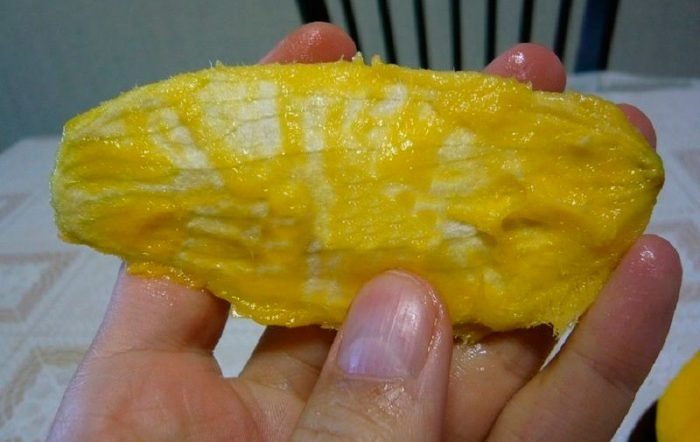 Як виростити манго з кісточки в домашніх умовах
