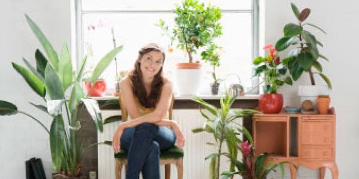 Лікувальні кімнатні рослини, домашні лікарські рослини