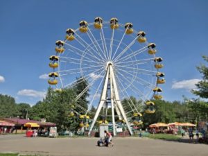Сонник Колесо: автомобіля машини у сні бачити до чого сниться?