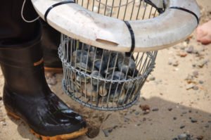 Сонник Раковина: в кухні, ванній: розбита або чистити уві сні Сонник Раковина: в кухні, ванній: розбита або чистити уві сні