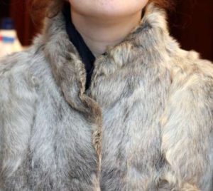 Сонник Моль багато у сні бачити до чого сниться?