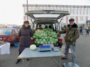 Сонник Капуста в Качанах на грядці свіжа бачити уві сні до чого сниться?