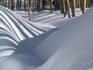 Сонник Замети білого снігу у сні бачити до чого сняться?