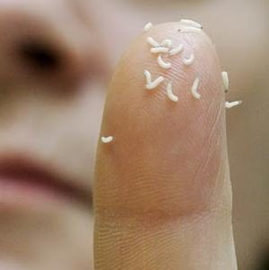 Сонник Опариші білі на тілі людини і напів у сні бачити до чого сняться?