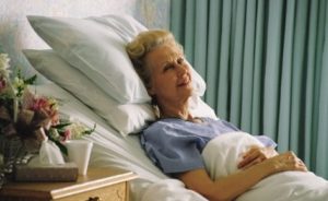 Сонник Мертві Тварини у сні бачити до чого сняться?