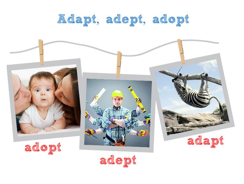 Adapt, adept, adopt – різниця, значення, вправи