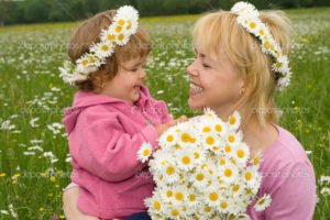 Сонник Ромашки білі великі в букеті у сні бачити до чого сняться?