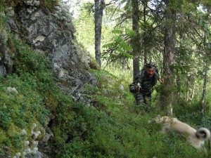 Сонник Заблукати у сні: у лісі, будівлі бачити до чого сниться?