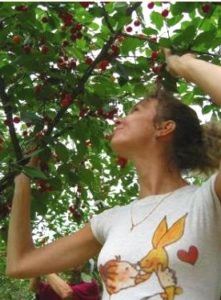 Сонник Збирати Ягоди уві сні в лісі з дерева бачити до чого сниться? Сонник Збирати Ягоди уві сні в лісі з дерева бачити до чого сниться?
