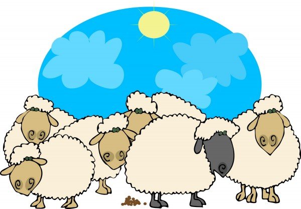 Цікаві факти про англійською мовою