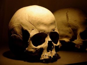 Сонник Відрубана Голова Людини у сні бачити до чого сниться?