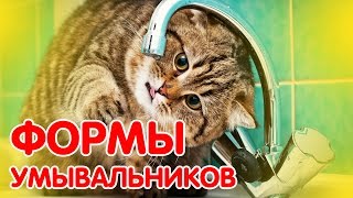 Вибираємо умивальник тюльпан, ціни: як встановити раковину з пєдесталом (відео)