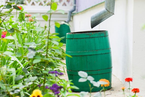 Як збирати і використовувати дощову воду: особливості і відео організації ефективної водостічної системи своїми руками