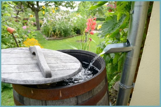 Як збирати і використовувати дощову воду: особливості і відео організації ефективної водостічної системи своїми руками