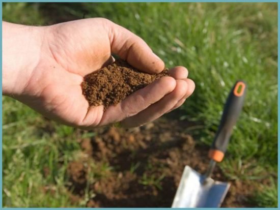 Дренаж ділянки на глинистих грунтах своїми руками: технологія і правила монтажу системи