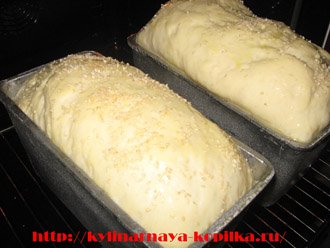 Рецепт домашнього хліба в духовці. Домашній хліб в хлібопічці