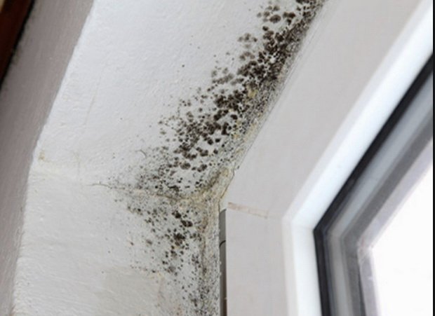 Щоб вікна не потіли   як правильно встановити