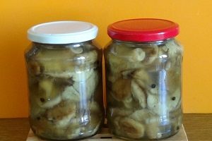 Волнушка — делікатес або поганка