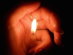 Змова від клопів   проти шкідників в квартирі