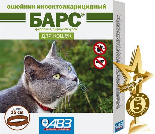 Нашийник від бліх для кішок: інструкція по застосуванню, ціна та відгуки