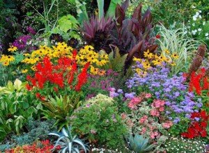 Як створити клумбу безперервного цвітіння з багаторічників: схема посадки в саду, вибір рослин і відео інструкція